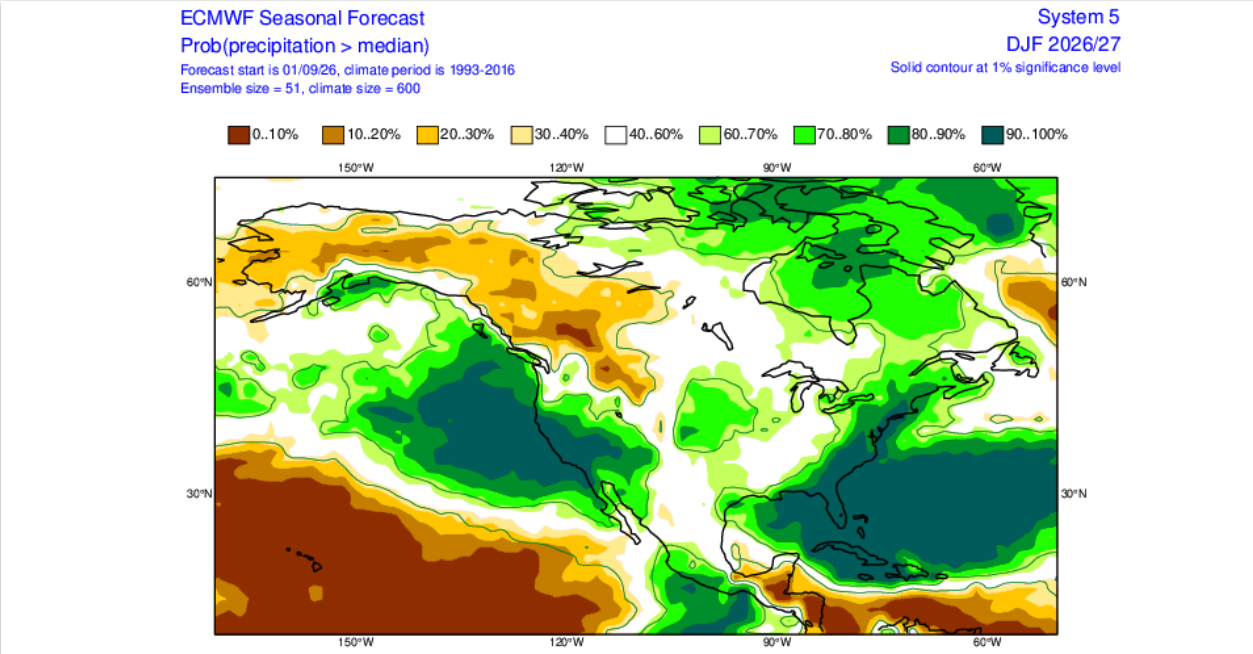 ECMWF seasonal forecast charts showing probabilities of precip exceeding climatological means for 3 month periods.