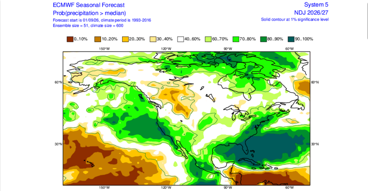 ECMWF seasonal forecast charts showing probabilities of precip exceeding climatological means for 3 month periods.